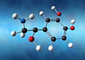 Norepinephrine neurotransmitter molecule