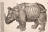 1551 Gesner armoured rhino after Durer