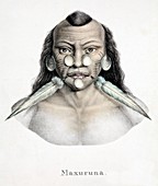 1827 Schinz Amazon Matis Indian colour