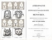 1874 Frontis Haeckel Anthropogenie