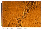 Surface of Venus,radar image