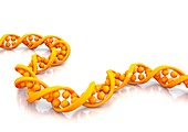 DNA molecule,artwork