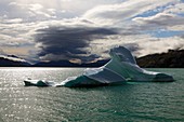 Iceberg,Greenland