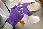 Laboratory test on urine