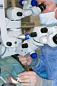 Surgeon conducts eye surgery