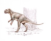 Psittacosaurus dinosaur