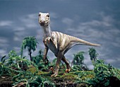 Deinonychus dinosaur model
