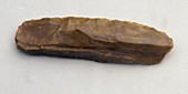 Neanderthal stone tool