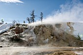 Mammoth Hot Springs,USA
