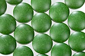 Microalgae food supplement tablets