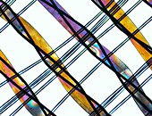 Synthetic fibre,light micrograph