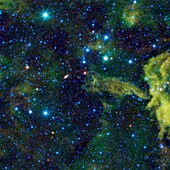 Cometary globule CG4,WISE image