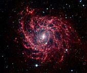 Spiral galaxy IC 342,optical image