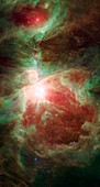 Orion nebula,optical image