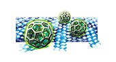 Nanotechnology,conceptual image