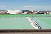 Lithium evaporation ponds