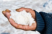 Harvested salt