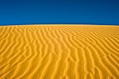 Desert sand dune