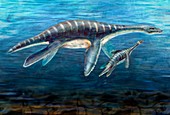 Plesiosaur with young,artwork