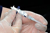 Inoculation with prevenar vaccine