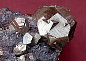 Pyrite crystals in their host rock