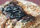 Allanite in its host rock