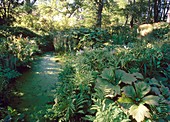 Stream running through Vann garden