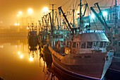 Fishing port at night