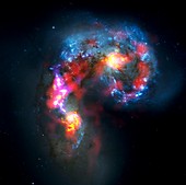 Antennae Galaxies,ALMA-HST image