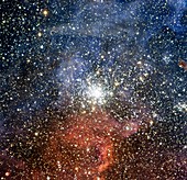 Open star cluster NGC 2100,NTT image