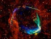 RCW 86 supernova remnant,composite