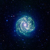 Southern Pinwheel Galaxy,infrared image