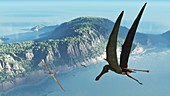 Anhanguera pterosaurs,artwork
