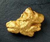 Wicklow gold nugget