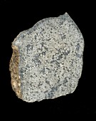 Shargottite Sayh al Uhaymir meteorite