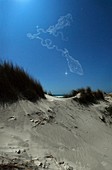 Moonlit coastal landscape