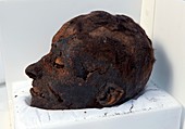 Mummified Egyptian head