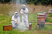 Beekeeping