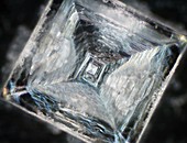 Salt crystal,light micrograph