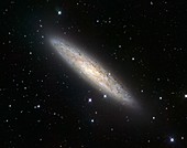 Sculptor Galaxy (NGC 253),VST image