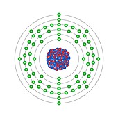 Erbium,atomic structure