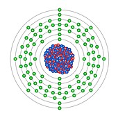 Americium,atomic structure