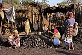 Charcoal sellers,Madagascar