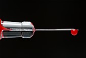 Blood droplet on a syringe needle