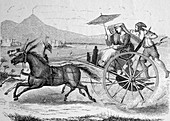 Neapolitan carriage,19th century
