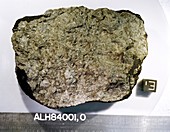 Sample of Martian meteorite ALH 84001