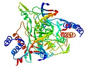 ECO RI restriction enzyme molecule