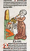 Head lice treatment,15th century