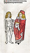 Medical consultation,15th century