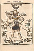 Zodiac Man,16th century